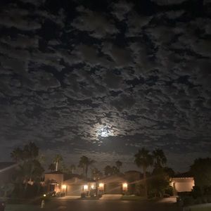 Meet your Posher, Dani